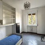 Rent 3 bedroom apartment of 100 m² in Novara