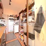 Rent 3 bedroom apartment of 100 m² in Rome