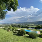 Rent 8 bedroom apartment of 350 m² in Civitella in Val di Chiana