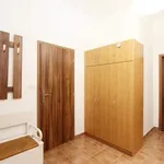 Pronajměte si 1 ložnic/e byt o rozloze 42 m² v Brno