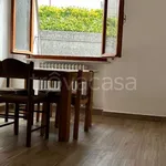 Rent 3 bedroom apartment of 110 m² in Casciana Terme Lari