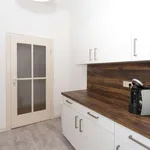 Rent 1 bedroom apartment of 60 m² in berlin