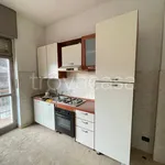 Rent 2 bedroom apartment of 45 m² in Torino