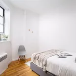 Rent 1 bedroom apartment in New York