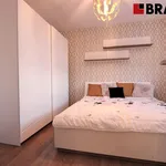 Pronajměte si 2 ložnic/e byt o rozloze 35 m² v Brno