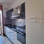 Rent 1 bedroom apartment of 15 m² in Venice