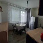 Rent 1 bedroom apartment of 34 m² in Brno