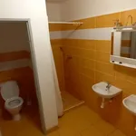 Rent 1 bedroom apartment in Rychnov nad Kněžnou