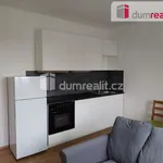 Rent 2 bedroom apartment of 36 m² in Praha