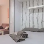 Rent 1 bedroom apartment in madrid