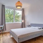 Rent a room in berlin