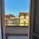 Affitto 1 camera appartamento di 45 m² in Bologna