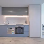 Rent 1 bedroom apartment in Auckland