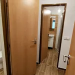 Pronajměte si 3 ložnic/e byt o rozloze 85 m² v drozdov