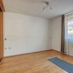 Roomolenstraat, Leidschendam - Amsterdam Apartments for Rent