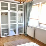 Rent 1 bedroom apartment of 68 m² in Dresden