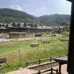 2-room flat via Giuseppe Baslini 35, Ponte di Legno