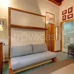 Rent 1 bedroom apartment of 26 m² in Firenze