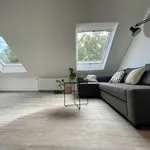 Rent 3 bedroom apartment of 65 m² in Dortmund