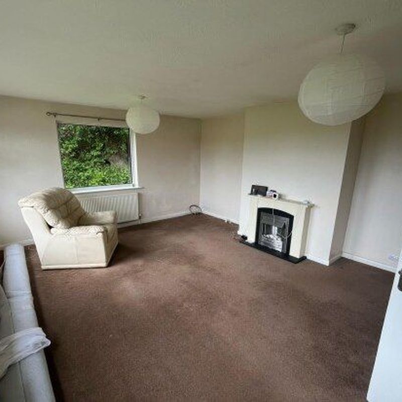 Detached bungalow to rent in The Firs, Exeter EX2 Kennford