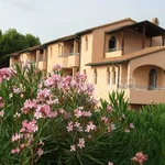 Rent 2 bedroom apartment of 45 m² in San Vincenzo