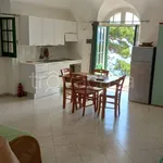 Rent 2 bedroom apartment of 50 m² in Capri