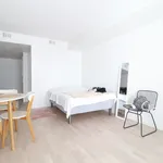 Rent 1 bedroom apartment of 32 m² in leinelänkaari