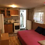 Rent 2 bedroom apartment of 45 m² in Nová Ves I