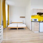 Rent 1 bedroom apartment of 36 m² in Brno