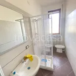 Rent 4 bedroom apartment of 120 m² in Alessandria