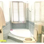 Rent 3 bedroom apartment of 120 m² in Turin