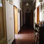 Rent 4 bedroom apartment in Bologna