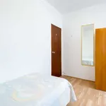 Rent a room in lisbon