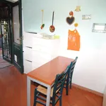 Rent 3 bedroom apartment of 60 m² in Livorno