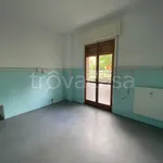 Rent 1 bedroom apartment of 50 m² in Campomorone