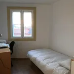 Rent 4 bedroom apartment in Coimbra