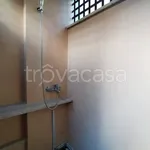 Rent 2 bedroom apartment of 50 m² in Anzio