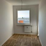 Rent 2 bedroom apartment of 47 m² in Sonnenstein