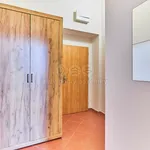 Rent 1 bedroom apartment in Písek