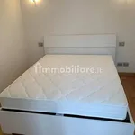 Rent 2 bedroom apartment of 50 m² in Turin