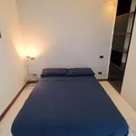 Rent 1 bedroom apartment in milan