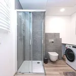 Rent 1 bedroom apartment in vilnius