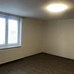 Rent 1 bedroom house in Prague