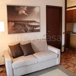 Rent 1 bedroom apartment of 40 m² in Monza