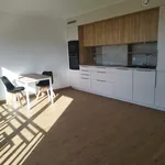 Appartement de 41 m² avec 1 chambre(s) en location à Nogent-sur-Marne