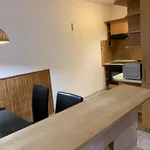 Rent 1 bedroom apartment in Brno