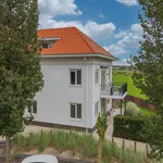 Rent 2 bedroom apartment of 58 m² in Noordwijk