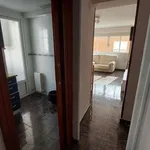 Rent a room in Zaragoza