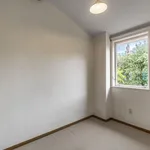 Rent 3 bedroom apartment in Auckland