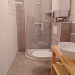 Rent 1 bedroom apartment of 20 m² in Prague